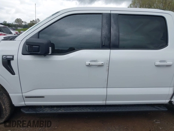 2023 Ford F-150 XL with VIN 1FTFW1ED8PFD06493, listed as a IAAI auction lot 42002427 with 31,147 mi miles and . Bid and sale history available at carsss.com. Image 14.