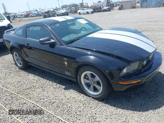 2006 Ford Mustang Standard with VIN 1ZVFT80N065182187, listed as a IAAI auction lot 42453637 with Not provided miles and . Bid and sale history available at DreamBid. Image 1.