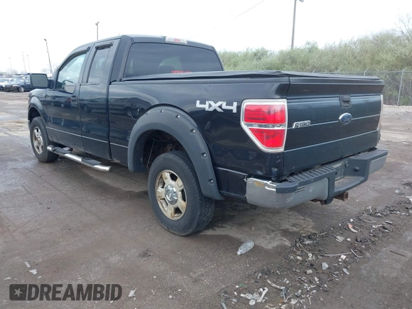 2010 Ford F-150 XL with VIN 1FTEX1E85AFB06495, listed as a IAAI auction lot 42082090 with 161,418 mi miles. Bid and sale history available at carsss.com. Image 3.