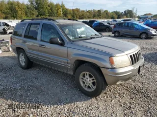 1999 Jeep Grand Cherokee Limited with VIN 1J4G268S7XC668348, listed as a Copart auction lot 77824084 with 165,779 mi miles and Salvage title. Bid and sale history available at DreamBid. Image 4.