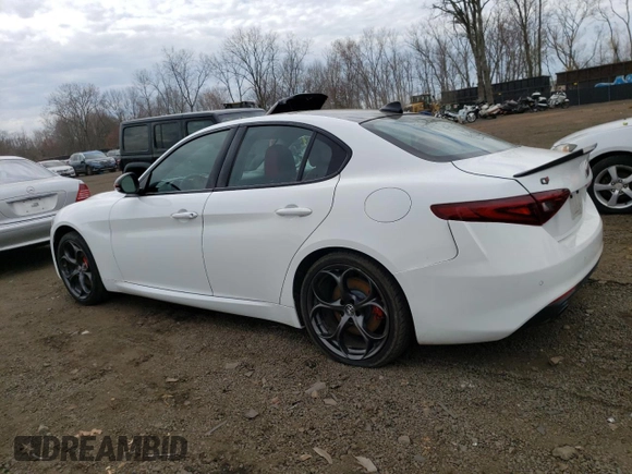 2019 Alfa Romeo Giulia with VIN ZARFANANXK7622362, listed as a Copart auction lot 46535223 with 28,946 mi miles. Bid and sale history available at carsss.com. Image 2.