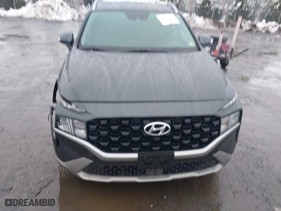 2023 Hyundai Santa Fe SEL with VIN 5NMS24AJ9PH545870, listed as a IAAI auction lot 41562211 with 134,462 mi miles. Bid and sale history available at carsss.com. Image 12.
