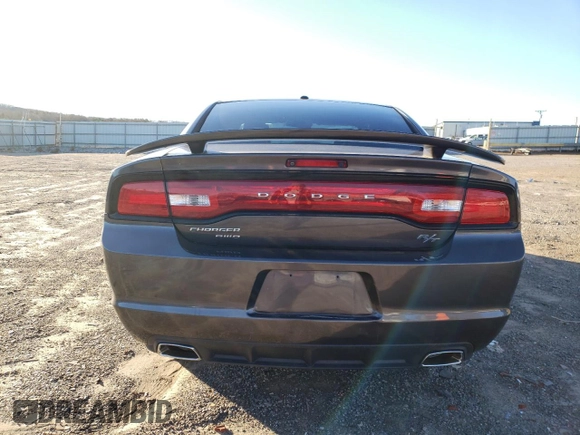 2013 Dodge Charger RT with VIN 2C3CDXDT3DH731025, listed as a Copart auction lot 40561264 with 117,228 mi miles and Salvage Title. Bid and sale history available at carsss.com. Image 6.
