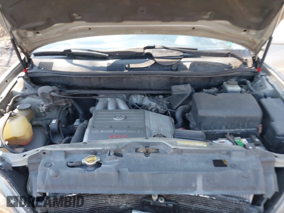 2000 Lexus RX 300 with VIN JT6HF10U5Y0130790, listed as a IAAI auction lot 41903189 with 192,449 mi miles. Bid and sale history available at carsss.com. Image 10.