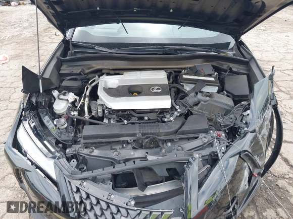 2022 Lexus UX 200 with VIN JTHP3JBHXN2046587, listed as a IAAI auction lot 42378996 with 32,000 mi miles and . Bid and sale history available at DreamBid. Image 10.