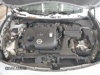 2009 Nissan Maxima SV with VIN 1N4AA51EX9C822461, listed as a IAAI auction lot 41597127 with 106,285 mi miles and . Bid and sale history available at DreamBid. Image 10.