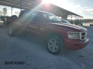 2010 Dodge Dakota SXT with VIN 1D7CW3GP0AS107674, listed as a Copart auction lot 79161534 with 181,681 mi miles and Salvage Title. Bid and sale history available at DreamBid. Image 4.