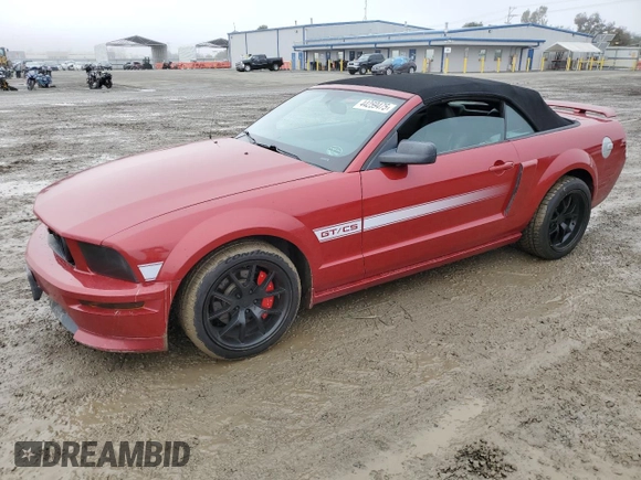 2009 Ford Mustang GT with VIN 1ZVHT85H395116989, listed as a Copart auction lot 44259475 with 98,104 mi miles and Salvage title. Bid and sale history available at DreamBid. Image 1.