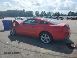 2010 Ford Mustang GT with VIN 1ZVBP8CH7A5119542, listed as a Copart auction lot 64825195 with 45,211 mi miles and Clean title. Bid and sale history available at DreamBid. Image 2.