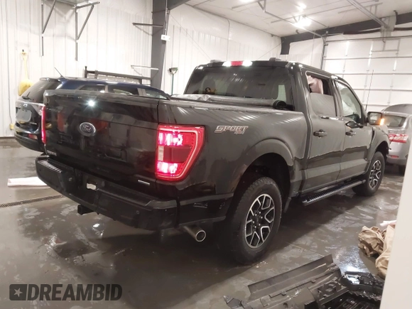 2023 Ford F-150 XL с VIN 1FTEW1EP1PKG06986, выставлен на аукционе IAAI как лот 41710895 с пробегом 9 175 миль миль и . История ставок и продаж доступна на DreamBid. Изображение 4.