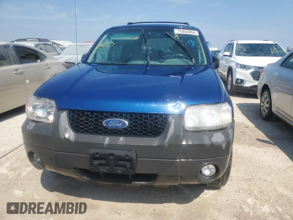 2007 Ford Escape XLT with VIN 1FMYU03117KC07213, listed as a Copart auction lot 75800064 with 0 mi miles and Non Repairable. Bid and sale history available at carsss.com. Image 5.