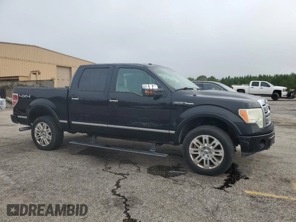 2009 Ford F-150 XL with VIN 1FTPW14V39FA46411, listed as a Copart auction lot 60041665 with 267,792 mi miles and Salvage title. Bid and sale history available at DreamBid. Image 4.