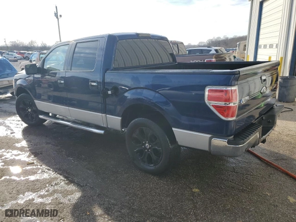2010 Ford F-150 XL with VIN 1FTEW1C80AFB61202, listed as a Copart auction lot 42870595 with 180,130 mi miles and Salvage Title. Bid and sale history available at carsss.com. Image 2.