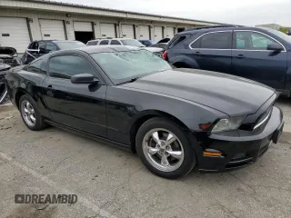 2013 Ford Mustang V6 with VIN 1ZVBP8AM7D5207785, listed as a Copart auction lot 80505444 with 180,901 mi miles and Salvage title. Bid and sale history available at DreamBid. Image 4.