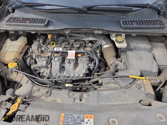2014 Ford Escape SE with VIN 1FMCU0G96EUE08875, listed as a Copart auction lot 54764395 with 1 mi miles and Clean Title. Bid and sale history available at carsss.com. Image 7.