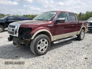 2009 Ford F-150 XL with VIN 1FTPW14V69FA81573, listed as a Copart auction lot 49098534 with 237,463 mi miles and Salvage title. Bid and sale history available at DreamBid. Image 1.