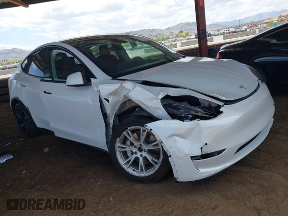 2021 Tesla Model Y Long Range with VIN 5YJYGAEE9MF254113, listed as a IAAI auction lot 42045256 with Not Provided miles. Bid and sale history available at carsss.com. Image 1.
