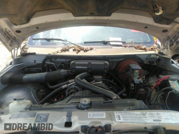 1996 Dodge 1500 with VIN 3B7HF13Z7TG106897, listed as a IAAI auction lot 42541999 with 258,927 mi miles and . Bid and sale history available at DreamBid. Image 10.