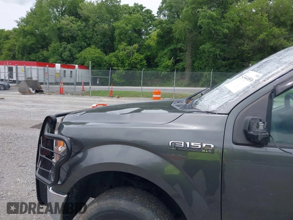 2018 Ford F-150 XL with VIN 1FTEW1E57JFB15756, listed as a IAAI auction lot 42446896 with 113,966 mi miles and . Bid and sale history available at DreamBid. Image 6.