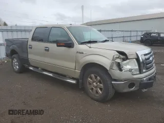 2009 Ford F-150 XL with VIN 1FTRW14869FA71127, listed as a Copart auction lot 81552544 with Not provided miles and Salvage title. Bid and sale history available at DreamBid. Image 4.