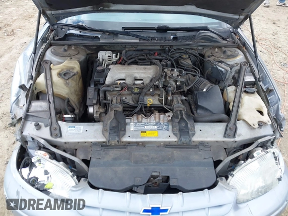 1995 Chevrolet Lumina with VIN 2G1WL52M8S1200543, listed as a IAAI auction lot 41513411 with 160,747 mi miles and . Bid and sale history available at DreamBid. Image 10.