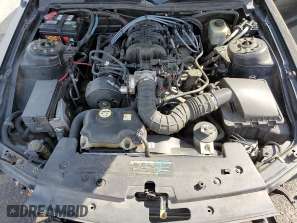 2005 Ford Mustang Deluxe with VIN 1ZVHT80N755201499, listed as a Copart auction lot 52082585 with 203,854 mi miles and Salvage Title. Bid and sale history available at carsss.com. Image 11.