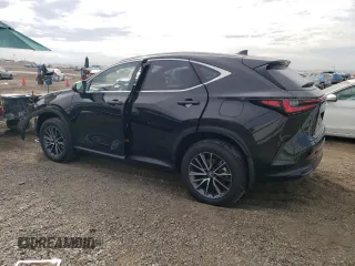 2023 Lexus NX with VIN 2T2GKCEZ9PC015447, listed as a Copart auction lot 79499623 with 4,912 mi miles. Bid and sale history available at carsss.com. Image 2.