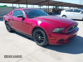 2014 Ford Mustang V6 with VIN 1ZVBP8AM3E5331909, listed as a IAAI auction lot 41843849 with 141,514 mi miles. Bid and sale history available at carsss.com. Image 1.