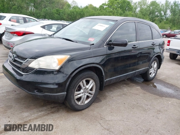 2011 Honda CR-V EX-L with VIN JHLRE4H79BC004859, listed as a IAAI auction lot 42088108 with 248,542 mi miles and . Bid and sale history available at carsss.com. Image 2.