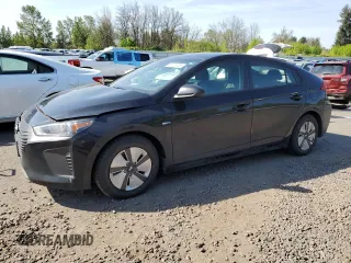 2019 Hyundai Ioniq Blue z VIN KMHC65LCXKU173529, wystawiony jako Copart lot #48171205 z przebiegiem 222 776 mil mil oraz Szkoda całkowita • Salvage title. Historia ofert i sprzedaży dostępna na DreamBid. Obrazek 1.