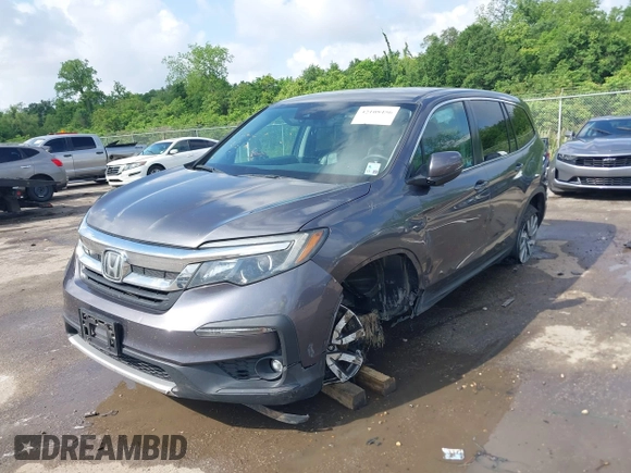 2019 Honda Pilot EX-L with VIN 5FNYF5H52KB039336, listed as a IAAI auction lot 42108456 with 220,307 mi miles and . Bid and sale history available at carsss.com. Image 2.