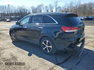 2017 Kia Sorento EX with VIN 5XYPHDA13HG324622, listed as a Copart auction lot 47050125 with 117,694 mi miles and Salvage Title. Bid and sale history available at carsss.com. Image 2.