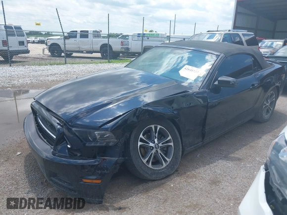 2014 Ford Mustang V6 с VIN 1ZVBP8EM5E5243910, выставлен на аукционе IAAI как лот 42648737 с пробегом 251 987 миль миль и . История ставок и продаж доступна на DreamBid. Изображение 17.