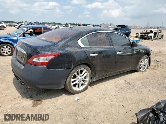 2011 Nissan Maxima SV with VIN 1N4AA5AP1BC854500, listed as a Copart auction lot 58921995 with 155,868 mi miles and Salvage title. Bid and sale history available at DreamBid. Image 3.