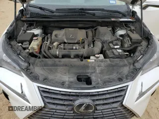 2020 Lexus NX 300 with VIN JTJAARBZ1L2176885, listed as a Copart auction lot 43062925 with 81,627 mi miles and Salvage title. Bid and sale history available at DreamBid. Image 14.