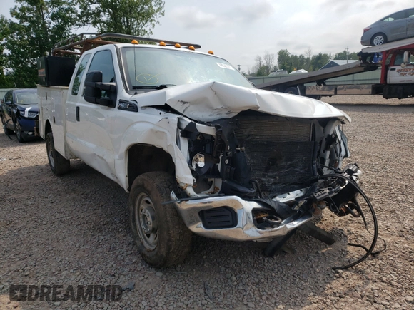 2013 Ford F-250 XL with VIN 1FD7X2B66DEA24301, listed as a Copart auction lot 48627771 with 244,779 mi miles and Salvage title. Bid and sale history available at DreamBid. Image 1.