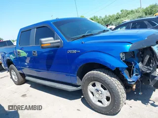 2013 Ford F-150 XL with VIN 1FTFW1EF3DFE08376, listed as a IAAI auction lot 42624045 with 189,635 mi miles and . Bid and sale history available at DreamBid. Image 14.