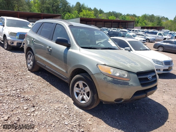 2009 Hyundai Santa Fe GLS with VIN 5NMSG13D19H331269, listed as a IAAI auction lot 42005021 with 120,215 mi miles. Bid and sale history available at carsss.com. Image 1.