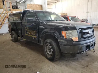 2014 Ford F-150 XL with VIN 1FTMF1EM3EKE99275, listed as a Copart auction lot 48309175 with 213,384 mi miles and Salvage Title. Bid and sale history available at carsss.com. Image 4.