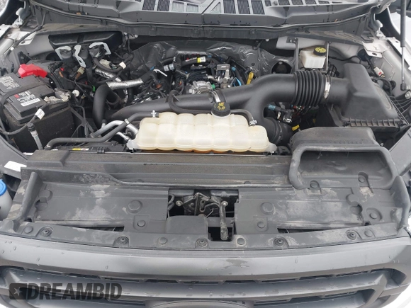 2021 Ford F-150 XL z VIN 1FTEW1EP5MKE17091, wystawiony jako IAAI lot #42413293 z przebiegiem 57 042 mil mil oraz . Historia ofert i sprzedaży dostępna na DreamBid. Obrazek 10.
