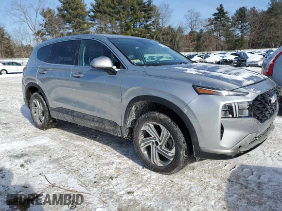 2021 Hyundai Santa Fe SE with VIN 5NMS1DAJ8MH349689, listed as a Copart auction lot 42316995 with 184,253 mi miles and Salvage Title. Bid and sale history available at carsss.com. Image 4.