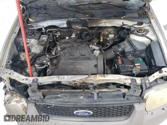 2002 Ford Escape XLS Choice with VIN 1FMYU011X2KB24469, listed as a Copart auction lot 76462504 with Not provided miles and Salvage title. Bid and sale history available at DreamBid. Image 13.