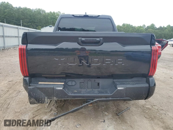 2022 Toyota Tundra SR with VIN 5TFKB5AB5NX019030, listed as a Copart auction lot 58558255 with 44,972 mi miles and Salvage title. Bid and sale history available at DreamBid. Image 6.