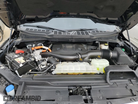 2022 Ford F-150 XL with VIN 1FTFW1EDXNFA24966, listed as a Copart auction lot 49545105 with 33,704 mi miles and Salvage Title. Bid and sale history available at DreamBid. Image 12.