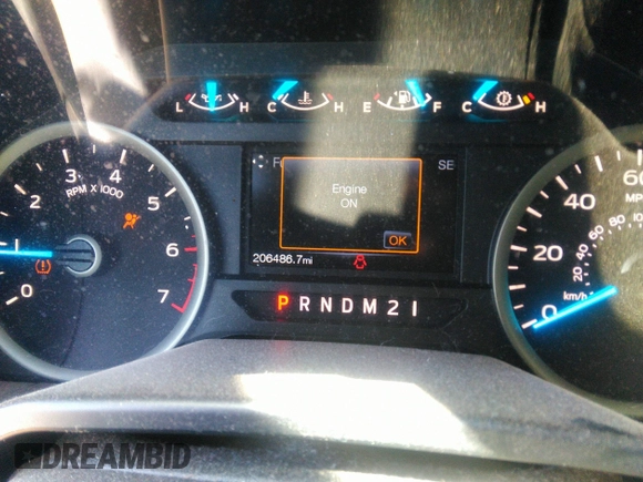 2016 Ford F-150 XL with VIN 1FTEX1CP4GFC05196, listed as a IAAI auction lot 41814514 with 206,486 mi miles and . Bid and sale history available at carsss.com. Image 7.