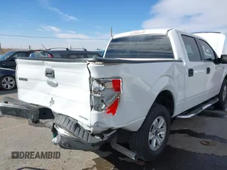 2011 Ford F-150 XL with VIN 1FTEW1CM0BFC15564, listed as a IAAI auction lot 41710176 with 143,554 mi miles and . Bid and sale history available at DreamBid. Image 6.