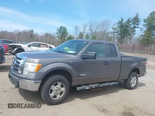 2011 Ford F-150 XL with VIN 1FTFX1ET5BFB49485, listed as a IAAI auction lot 42074270 with 206,090 mi miles. Bid and sale history available at carsss.com. Image 12.