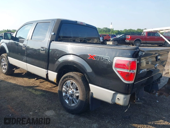 2010 Ford F-150 XL with VIN 1FTFW1EV7AFD58696, listed as a IAAI auction lot 42584267 with 165,635 mi miles and . Bid and sale history available at DreamBid. Image 3.