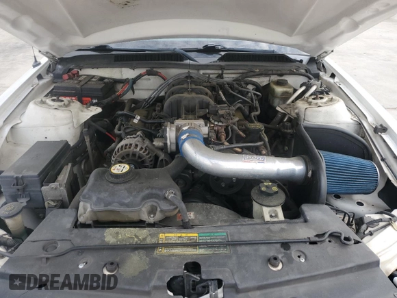 2006 Ford Mustang Standard z VIN 1ZVFT80N665240433, wystawiony jako Copart lot #54066595 z przebiegiem 229 296 mil mil oraz Szkoda całkowita • Salvage title. Historia ofert i sprzedaży dostępna na DreamBid. Obrazek 11.