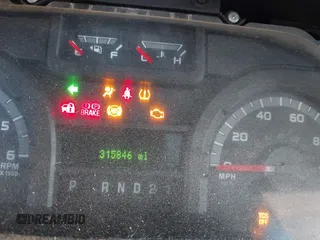 2013 Ford Econoline Passenger XL z VIN 1FBSS3BL5DDA43280, wystawiony jako IAAI lot #41583503 z przebiegiem 315 846 mil mil oraz . Historia ofert i sprzedaży dostępna na DreamBid. Obrazek 7.